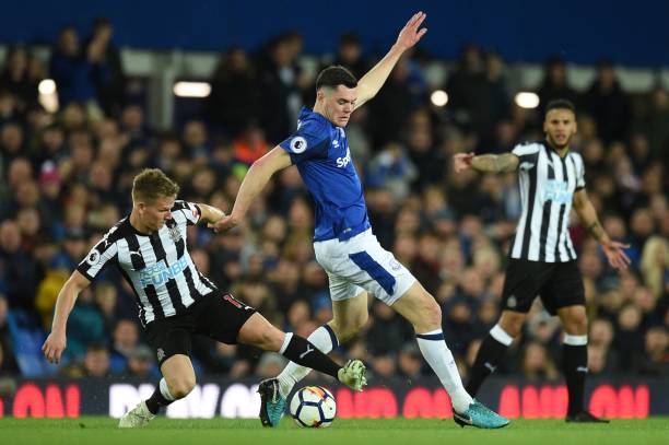 海牛之间的 海牛之间的